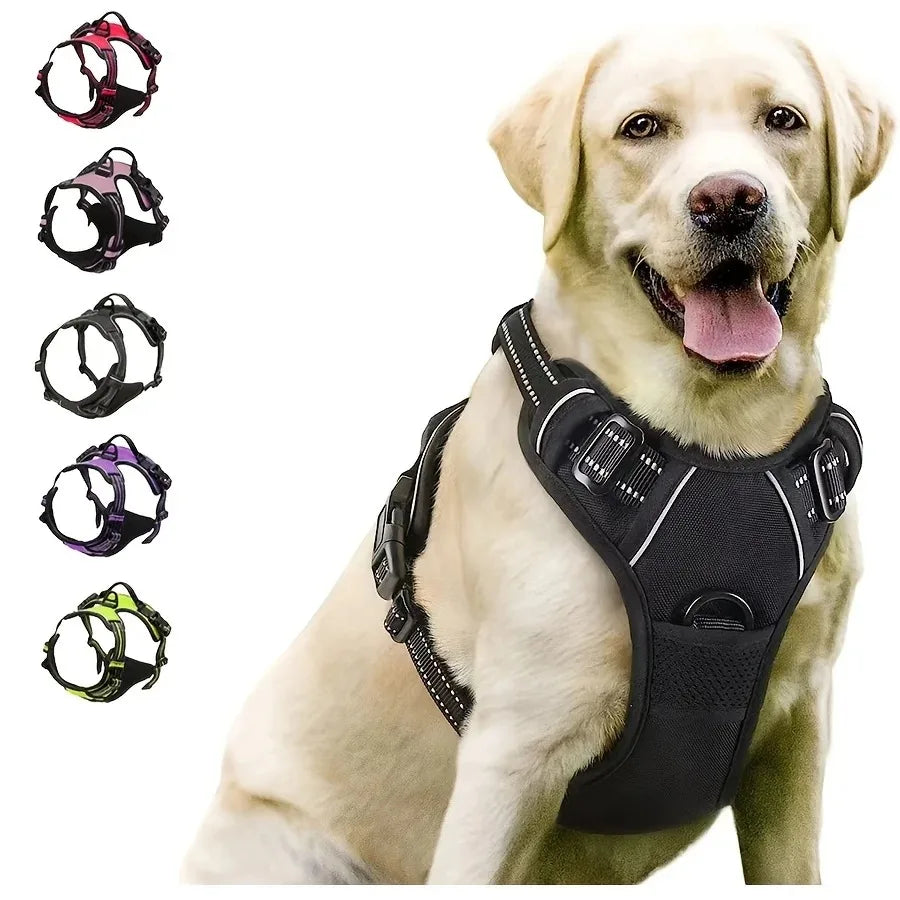 Dog Leather Collar, Harness & Leash Set | Small to Medium Dogs