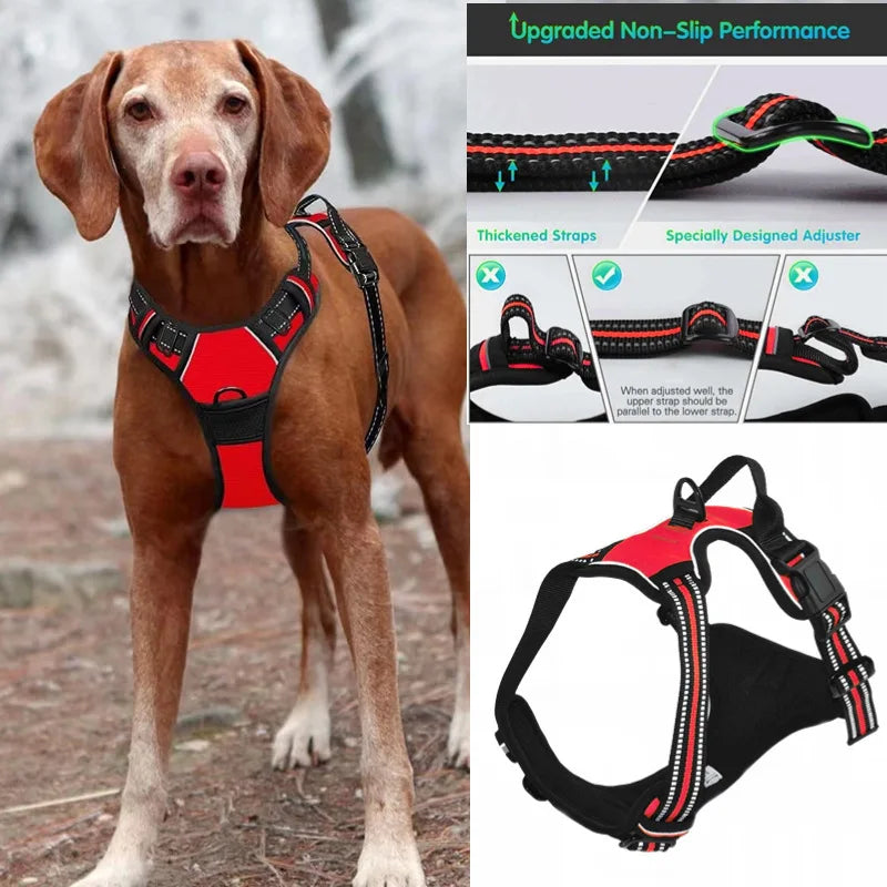Dog Harness Vest | Adjustable for Small, Medium & Large Dogs