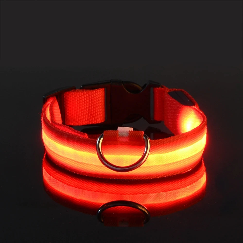 LED Glow Dog Collar – Night Safety Flashing Nylon Pet Collar