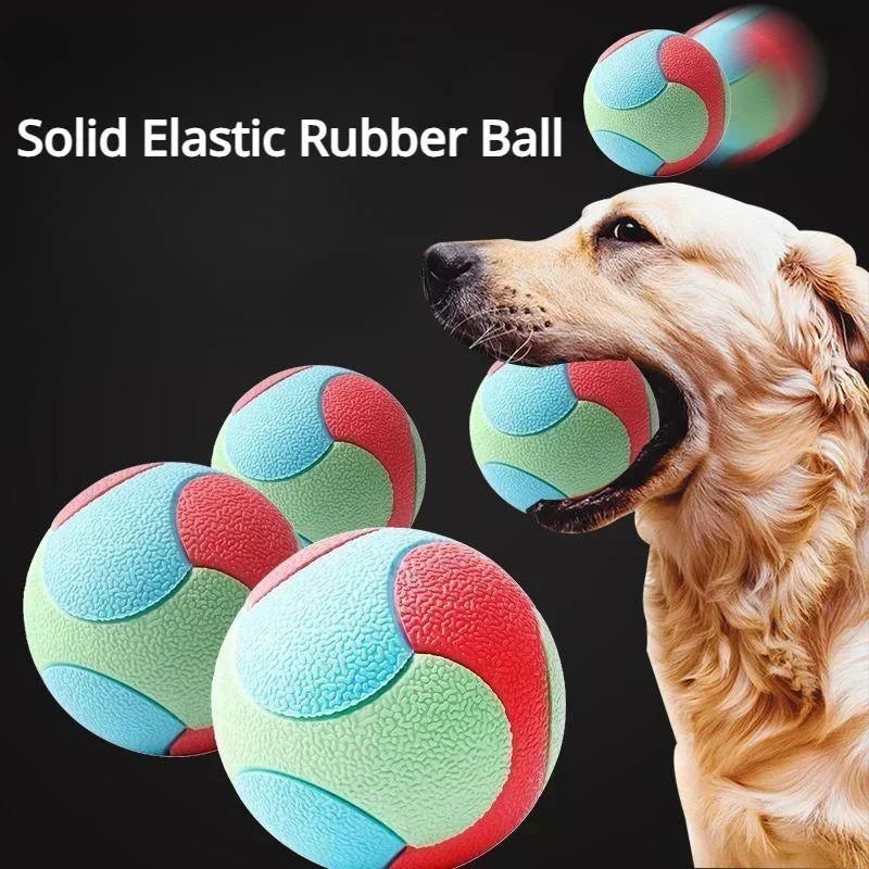 Solid Rubber Dog Ball | Indestructible Chew & Fetch Toy