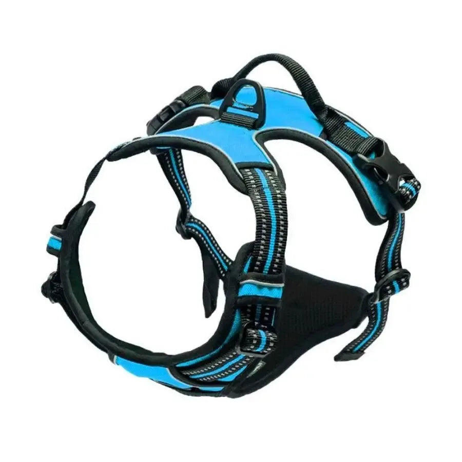 Dog Leather Collar, Harness & Leash Set | Small to Medium Dogs