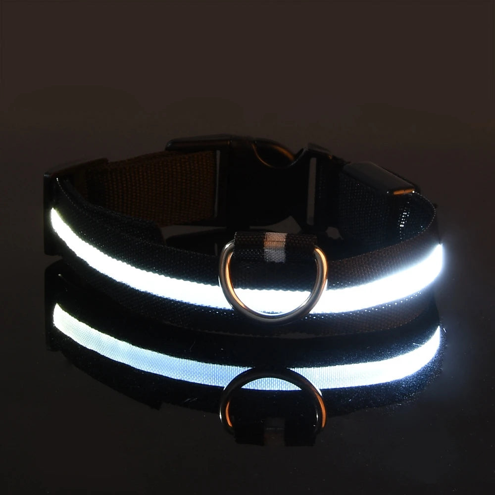 LED Glow Dog Collar – Night Safety Flashing Nylon Pet Collar