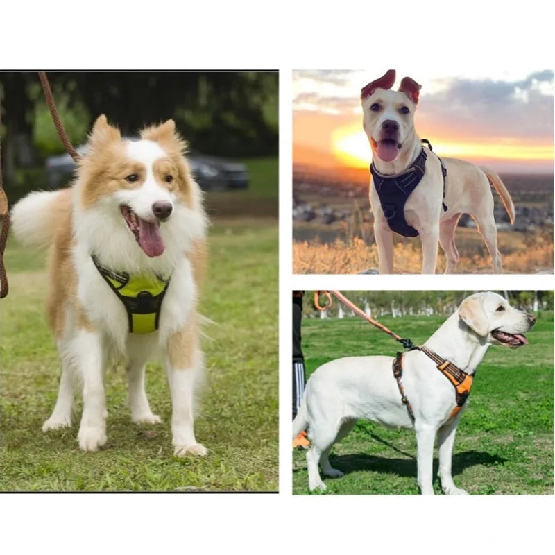 Dog Harness Vest | Adjustable for Small, Medium & Large Dogs