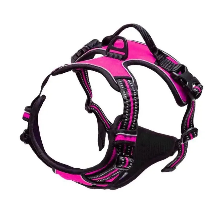 Dog Leather Collar, Harness & Leash Set | Small to Medium Dogs