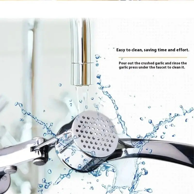 Stainless Steel Garlic Press & Smasher