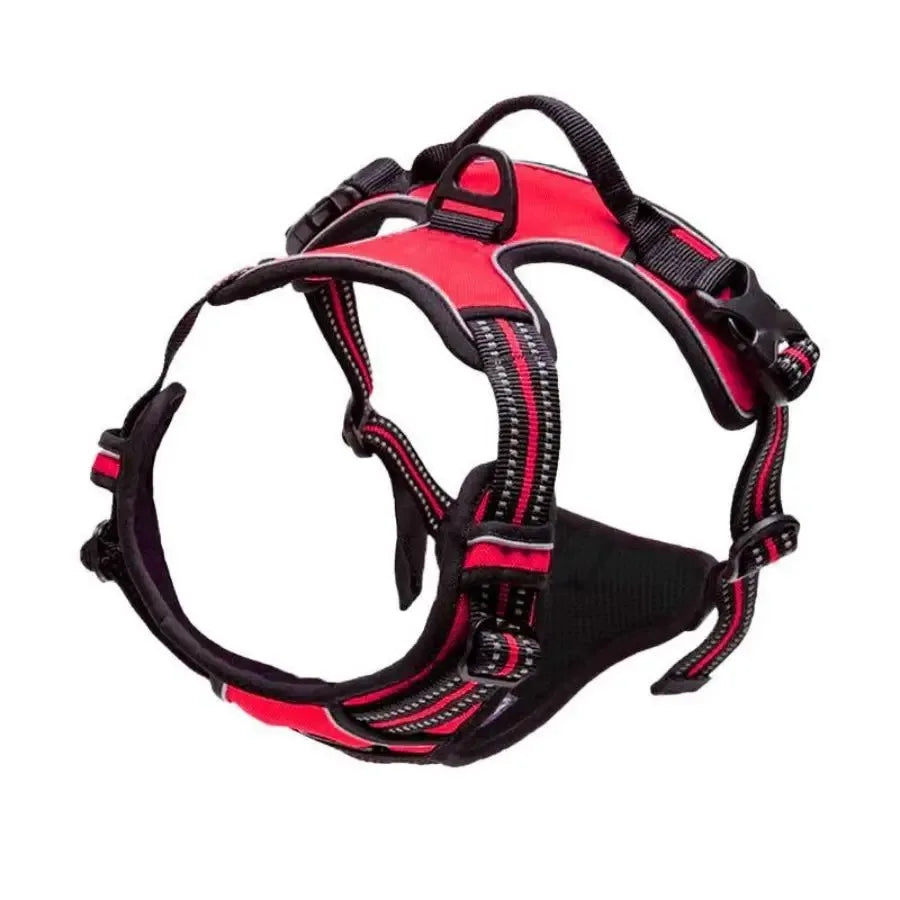 Dog Leather Collar, Harness & Leash Set | Small to Medium Dogs