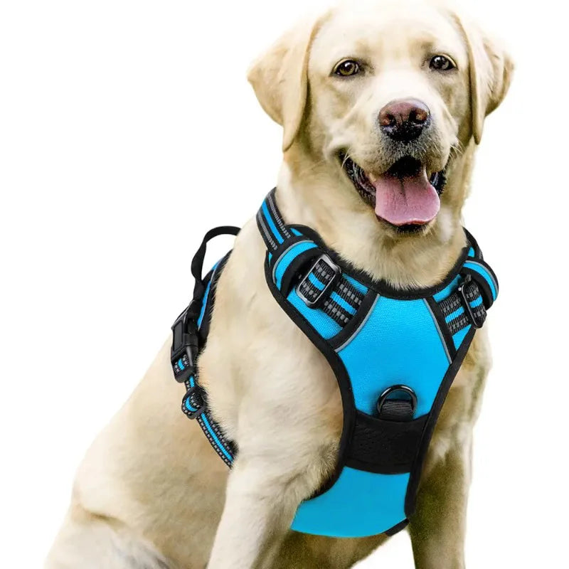 Dog Harness Vest | Adjustable for Small, Medium & Large Dogs