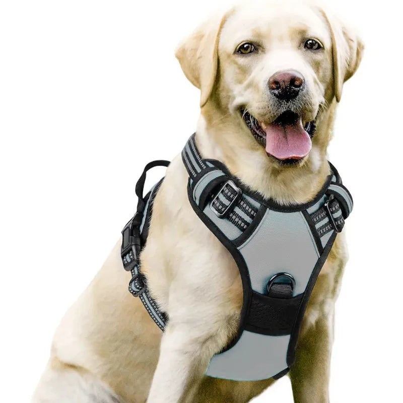 Dog Harness Vest | Adjustable for Small, Medium & Large Dogs