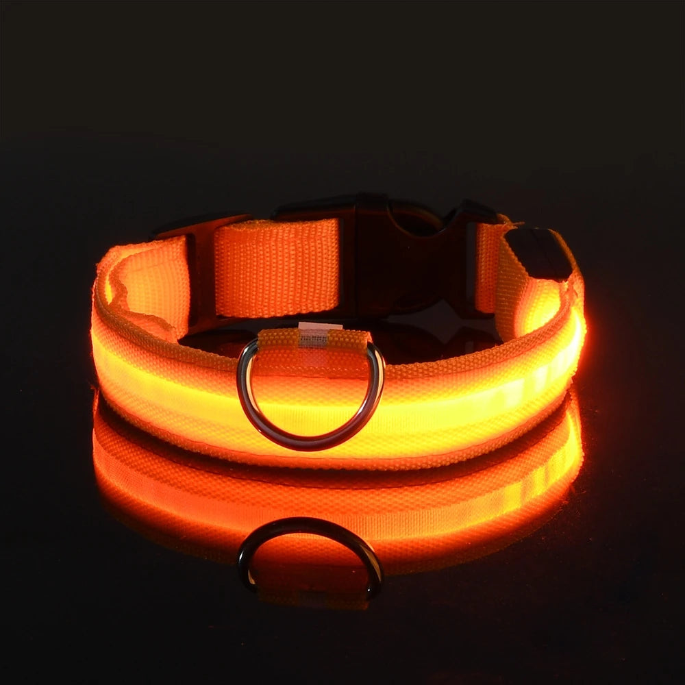 LED Glow Dog Collar – Night Safety Flashing Nylon Pet Collar