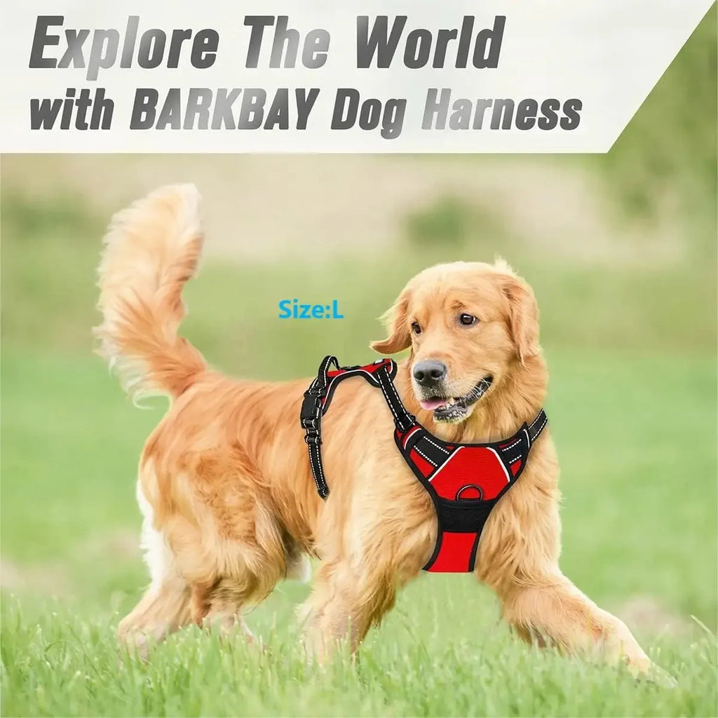 Dog Leather Collar, Harness & Leash Set | Small to Medium Dogs