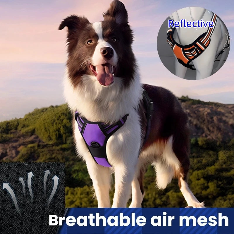 Dog Harness Vest | Adjustable for Small, Medium & Large Dogs