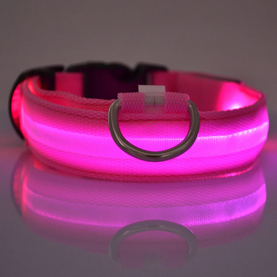 LED Glow Dog Collar – Night Safety Flashing Nylon Pet Collar