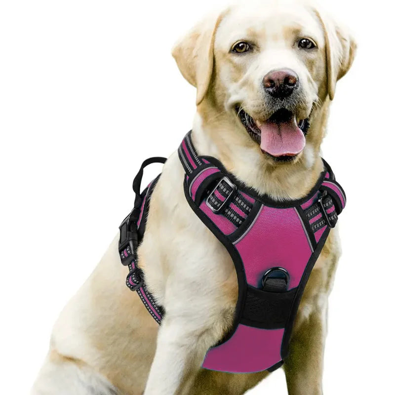 Dog Harness Vest | Adjustable for Small, Medium & Large Dogs