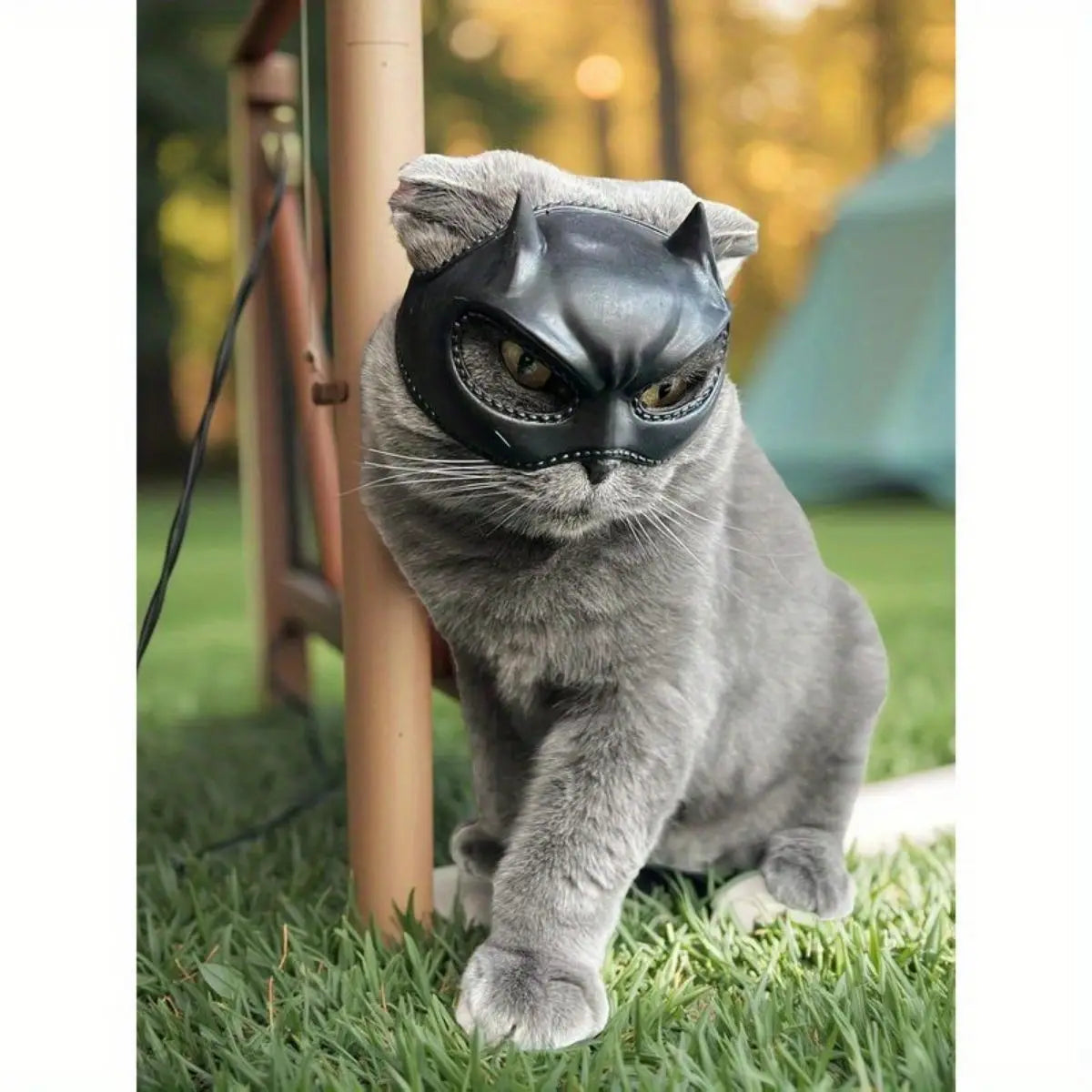 Cat Bat Mask Costume | Feline Role-Play Headpiece Accessory