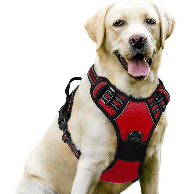 Dog Harness Vest | Adjustable for Small, Medium & Large Dogs