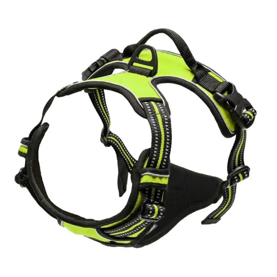 Dog Leather Collar, Harness & Leash Set | Small to Medium Dogs