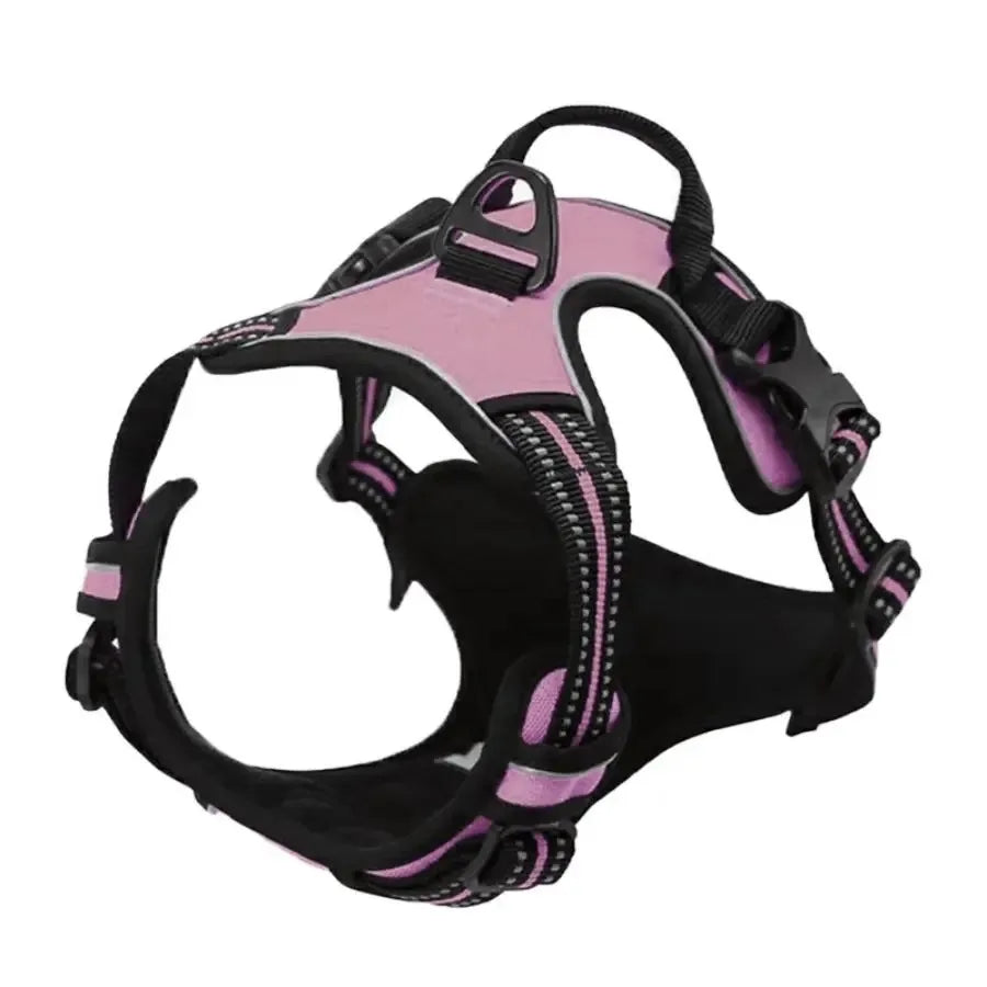 Dog Leather Collar, Harness & Leash Set | Small to Medium Dogs