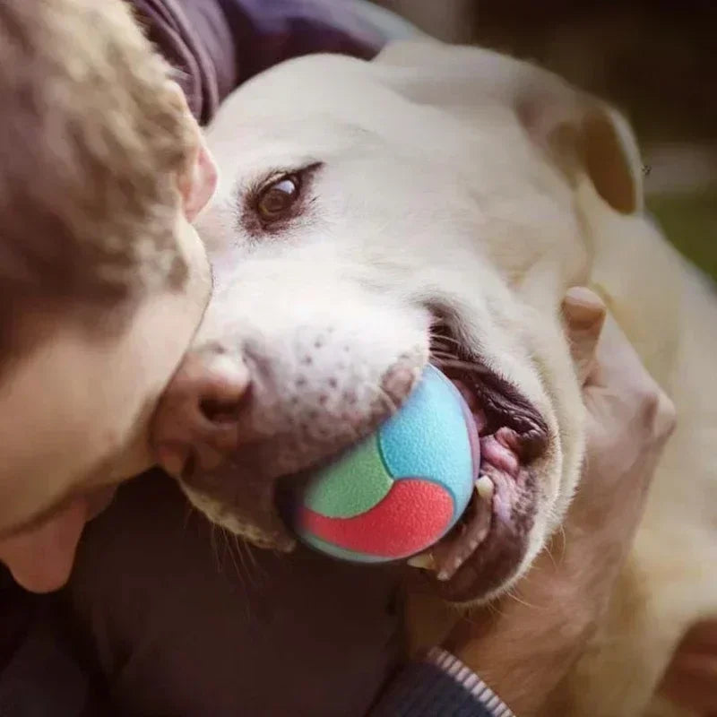 Solid Rubber Dog Ball | Indestructible Chew & Fetch Toy