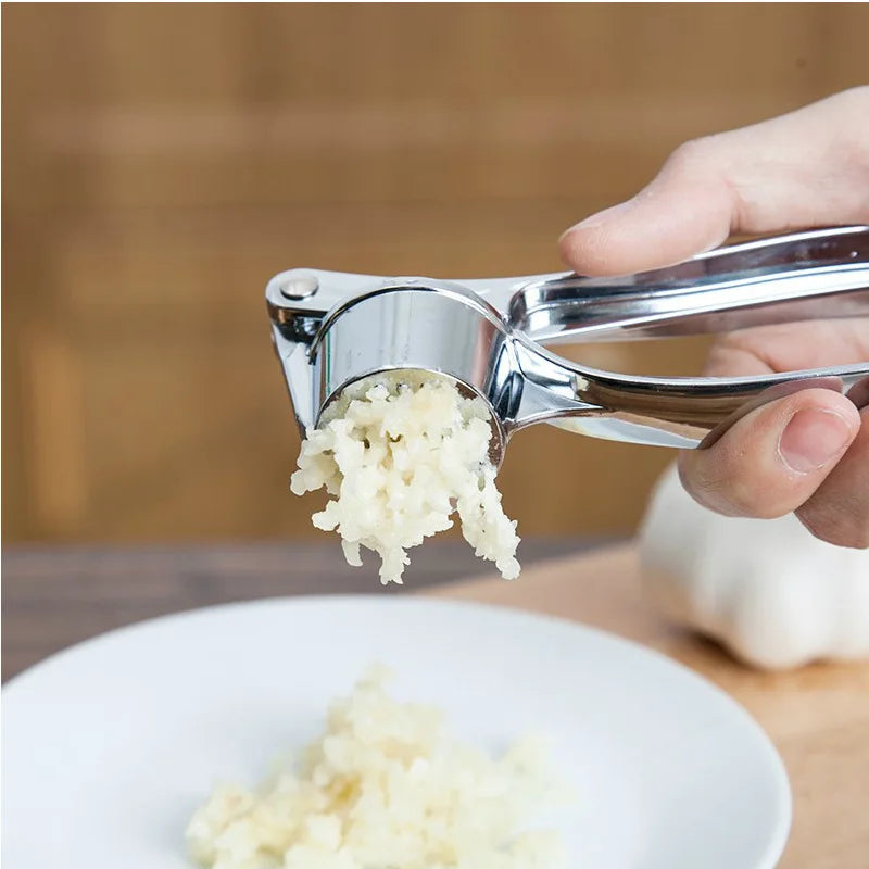 Stainless Steel Garlic Press & Smasher