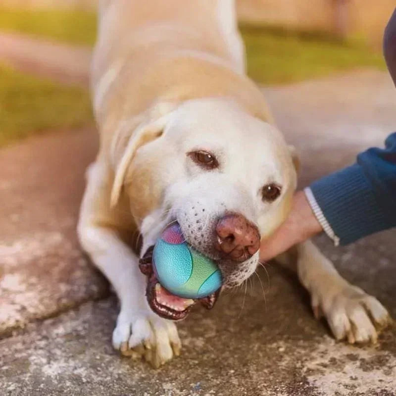 Solid Rubber Dog Ball | Indestructible Chew & Fetch Toy