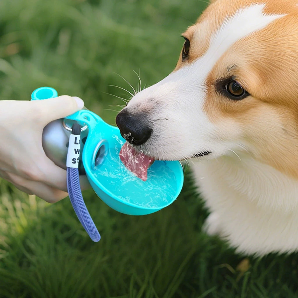 Stainless Steel Collapsible Dog Water Bottle | Portable Ball Bowl