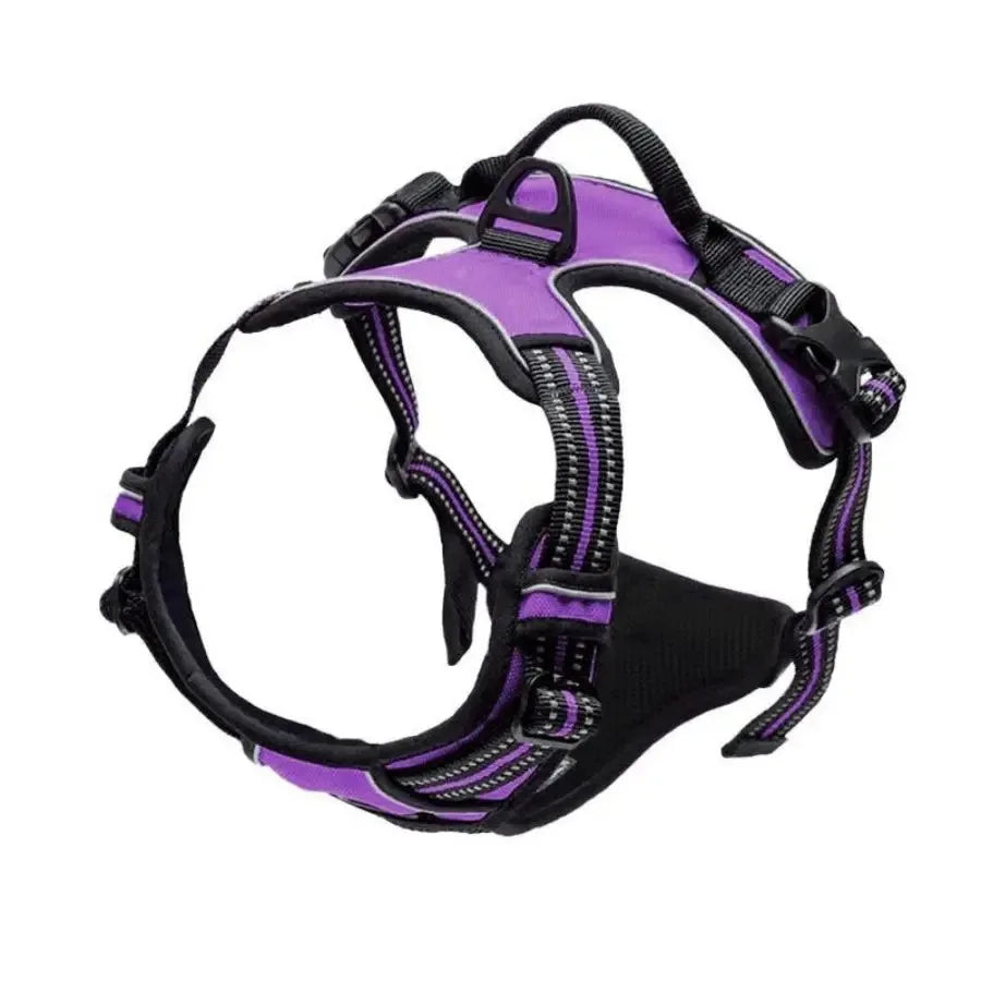 Dog Leather Collar, Harness & Leash Set | Small to Medium Dogs