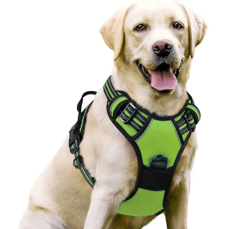 Dog Harness Vest | Adjustable for Small, Medium & Large Dogs