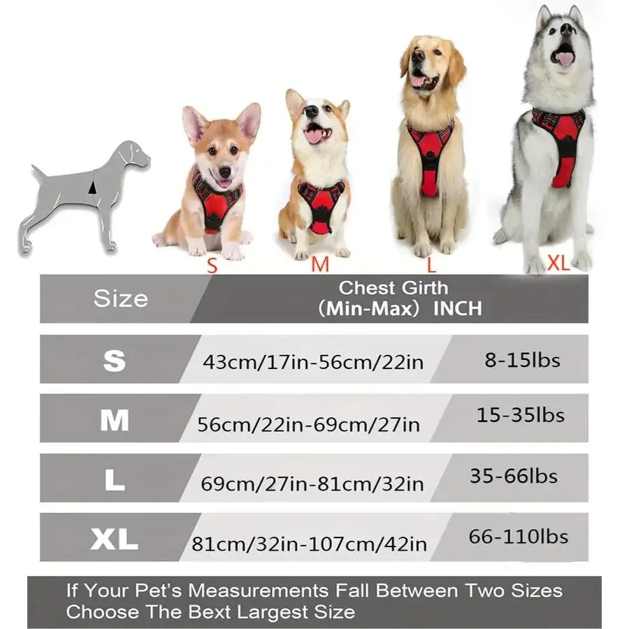 Dog Leather Collar, Harness & Leash Set | Small to Medium Dogs