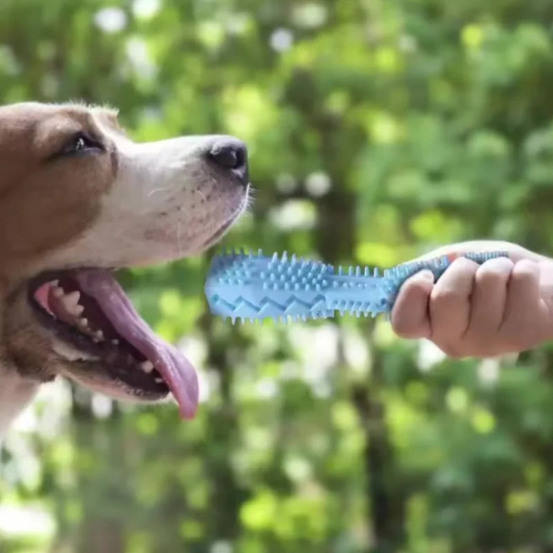 Dog Teething Chew Stick | Bite-Resistant Leak-Proof Food Toy