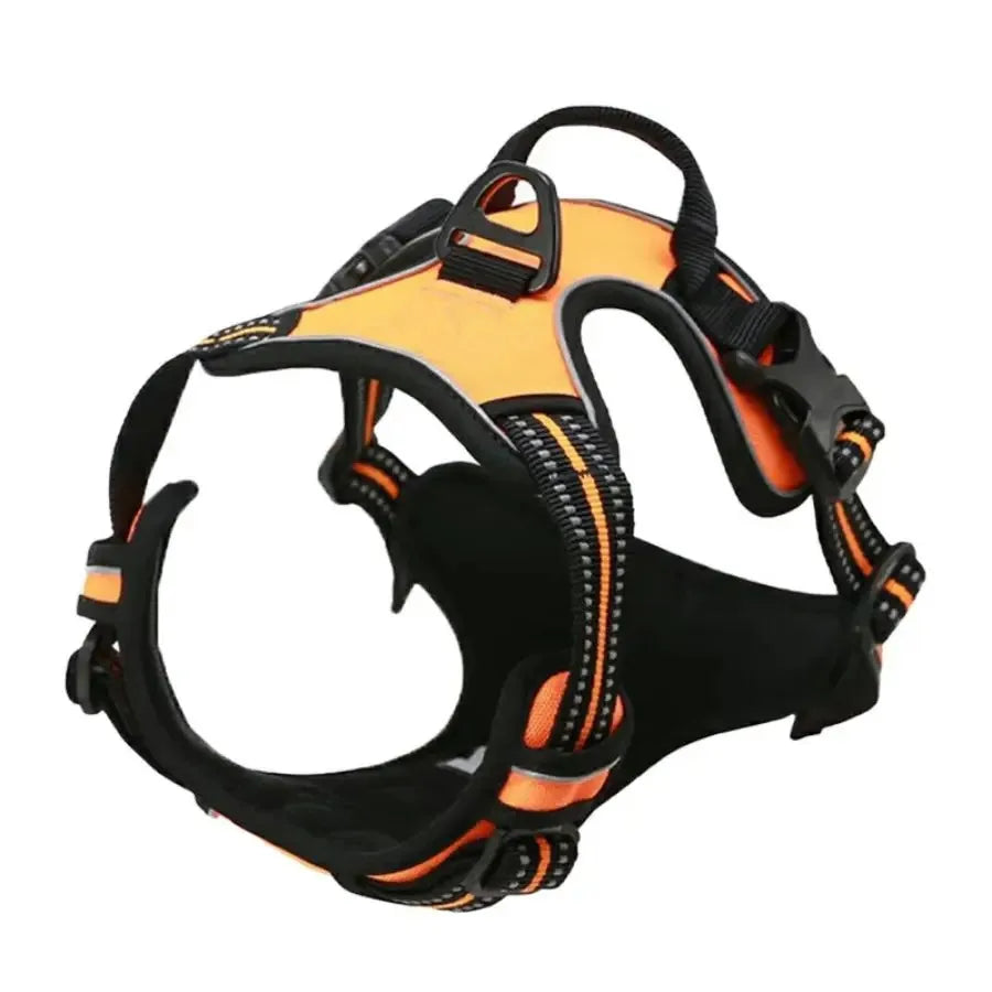 Dog Leather Collar, Harness & Leash Set | Small to Medium Dogs