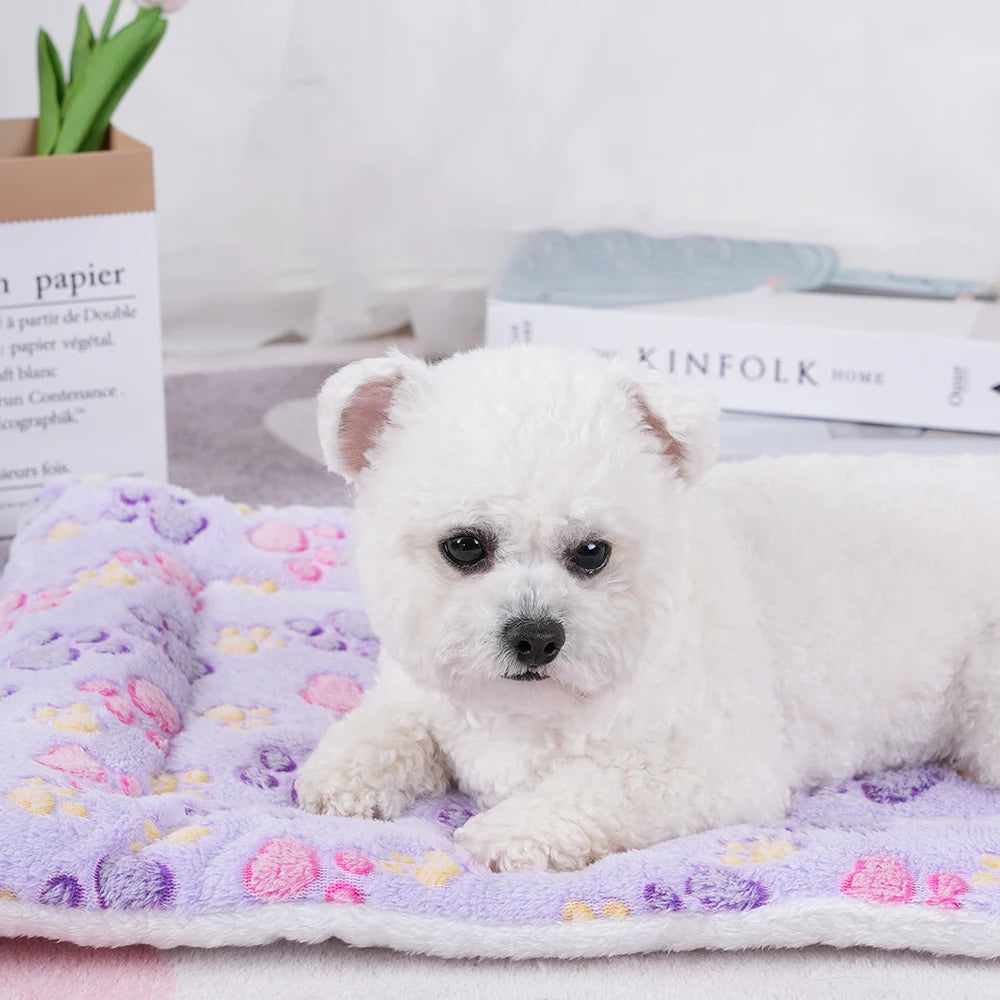 Cat Bed Warm Sofa Cushion | Cozy Pet Basket & Furniture