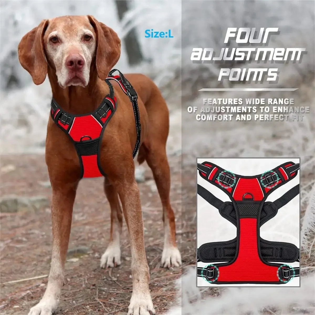 Dog Leather Collar, Harness & Leash Set | Small to Medium Dogs