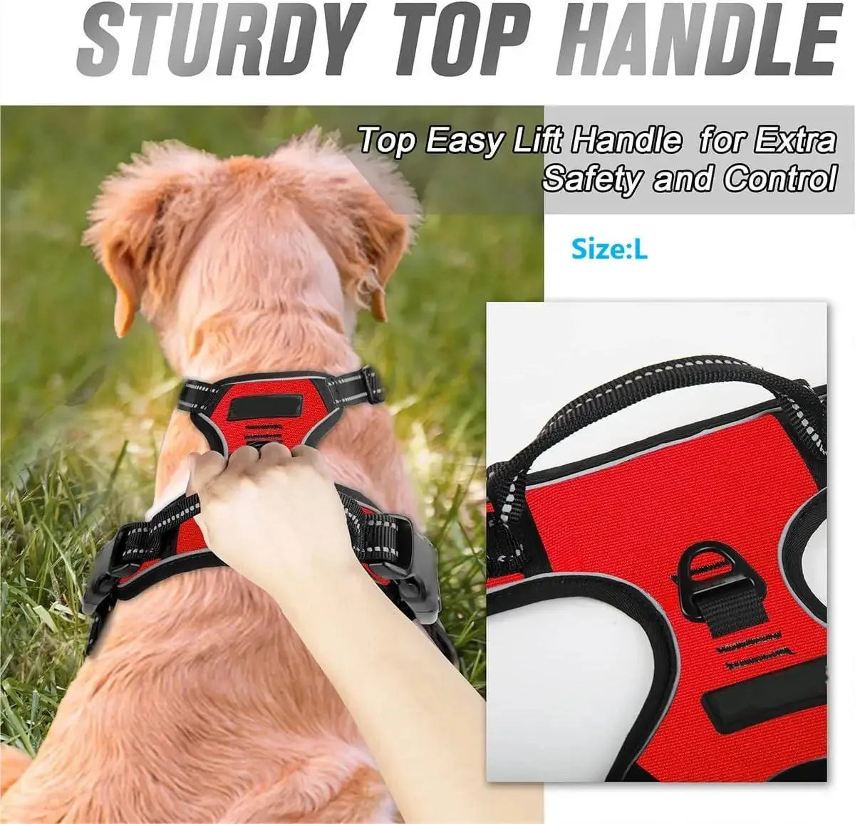 Dog Leather Collar, Harness & Leash Set | Small to Medium Dogs