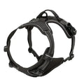 Dog Leather Collar, Harness & Leash Set | Small to Medium Dogs