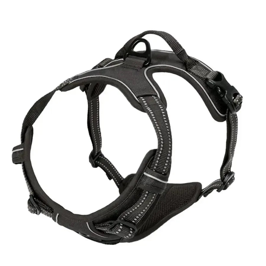 Dog Leather Collar, Harness & Leash Set | Small to Medium Dogs